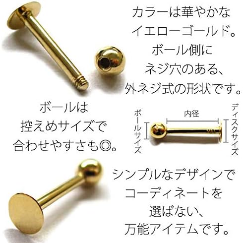 Elizabeth Bower エリザベスバウアー Pavet Dublet ピアス【レンタル